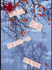 你怎么知道你看到的一定是真相呢