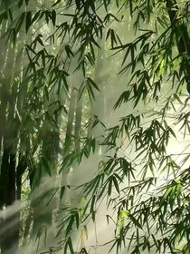 墨竹介紹