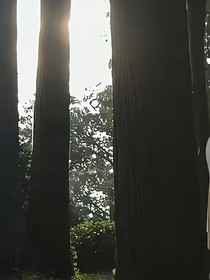 遇见你很欢喜