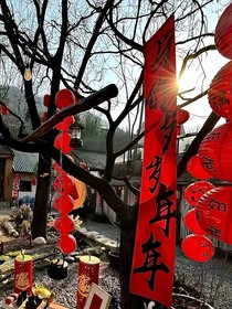 那年我们在相逢