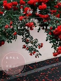 先梅妻