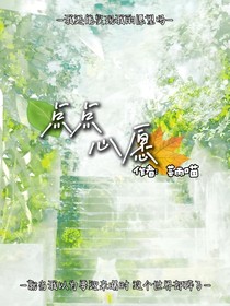 点点心愿
