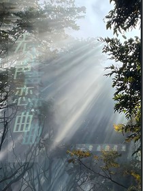 无声恋曲