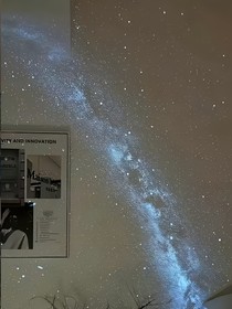 死鸭子嘴硬