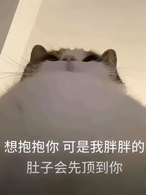 此本已棄坑