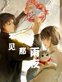 不见那雨夜