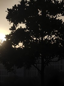 兄坑：谁说二师兄是器修的