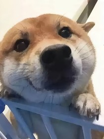 重生生子单天