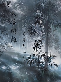 大梦归离：月是天上月