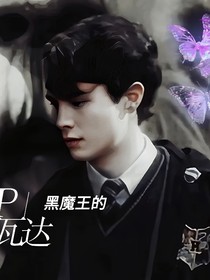 汤姆不是伏地魔