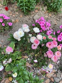 這里是地獄呀