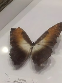 名科f4加我