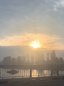 白榆：冬天的心动