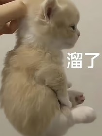 KPL：我思故我在
