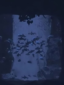兩個人的烏托邦