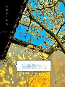 趣事录