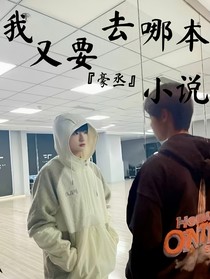 我又要去哪本小说
