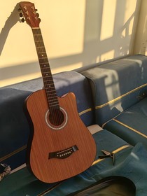 夏季的落叶