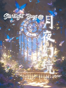 StarlightBoys：月夜幻境