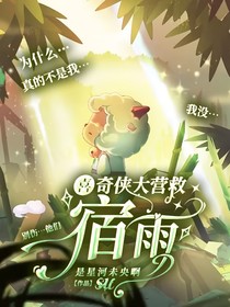 喜：奇侠大营救一一宿雨