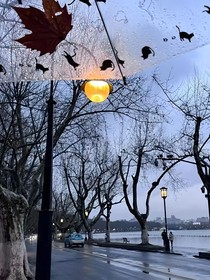 一萬零一次雨季