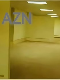 AZN（后室）