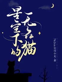 星空下的无名猫-d729