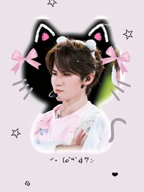all真：源源小猫