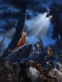 猫武士杂谈