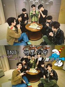 TNT：刑警特队