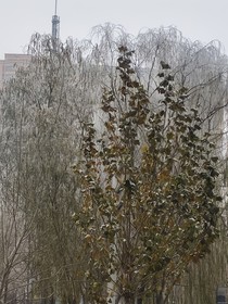星辰恋歌之一个甜蜜的爱情故事