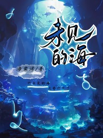 未见的海-d731