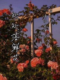 处处落鲜花