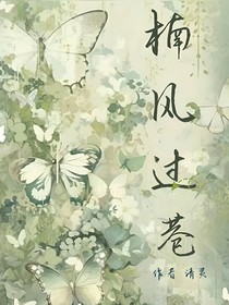楠风过巷