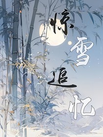 惊雪追忆