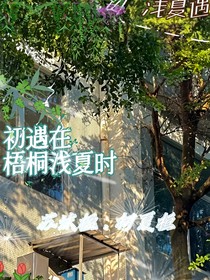 初遇在梧桐浅夏时