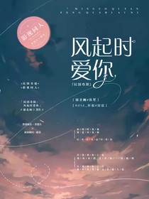 民国奇探：风起时爱你