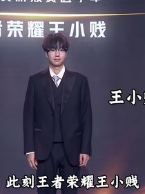 王者荣耀王小贱159357835722