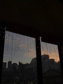 楠椿