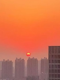 如果我一整天都在追太陽