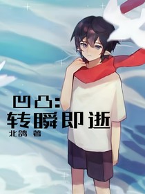 凹凸——转瞬即逝