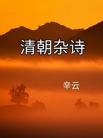 清朝杂史