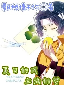 夏日的風(fēng)，立海的夢
