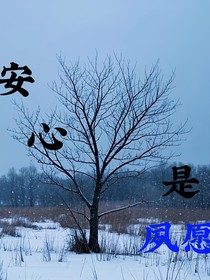 安心是夙愿