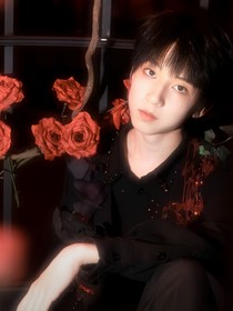 TF家族四代：姐姐你好香