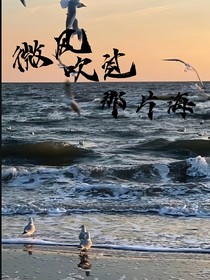 微風(fēng)吹過那片海