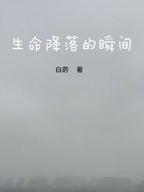 生命降落的瞬间