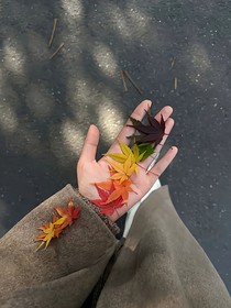 可能是我想太多了