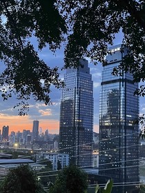 璀璨星途TF家族的辉煌传承