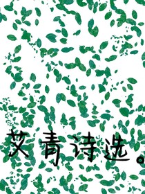 艾青诗选1